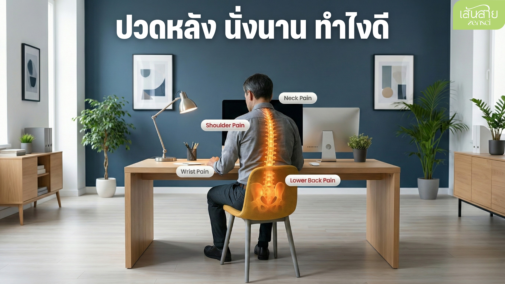 นั่งนานปวดหลัง? แจก 5 ท่ายืดหลัง แก้ Office Syndrome ฉบับทำง่าย หายเมื่อยใน 5 นาที