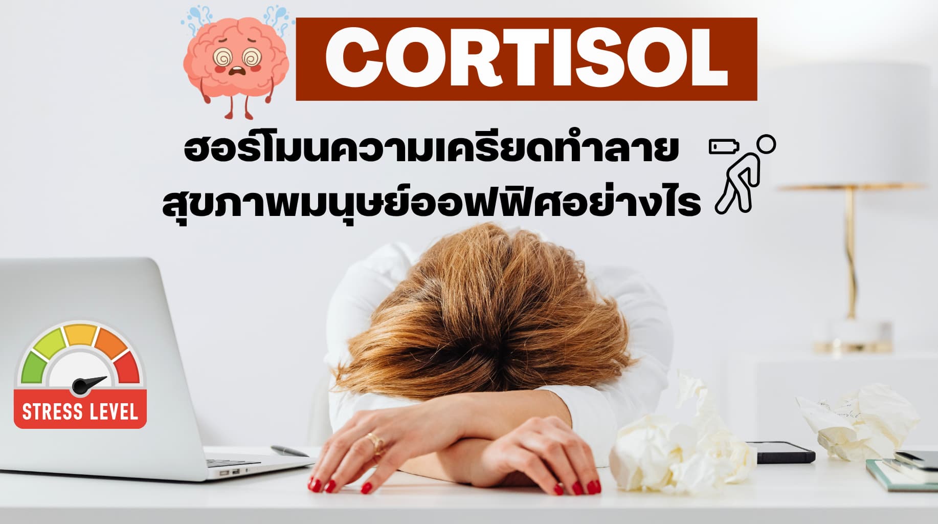 Cortisol ฮอร์โมนตัวร้ายส่งผลต่อมนุษย์ออฟฟิศยังไงบ้าง?