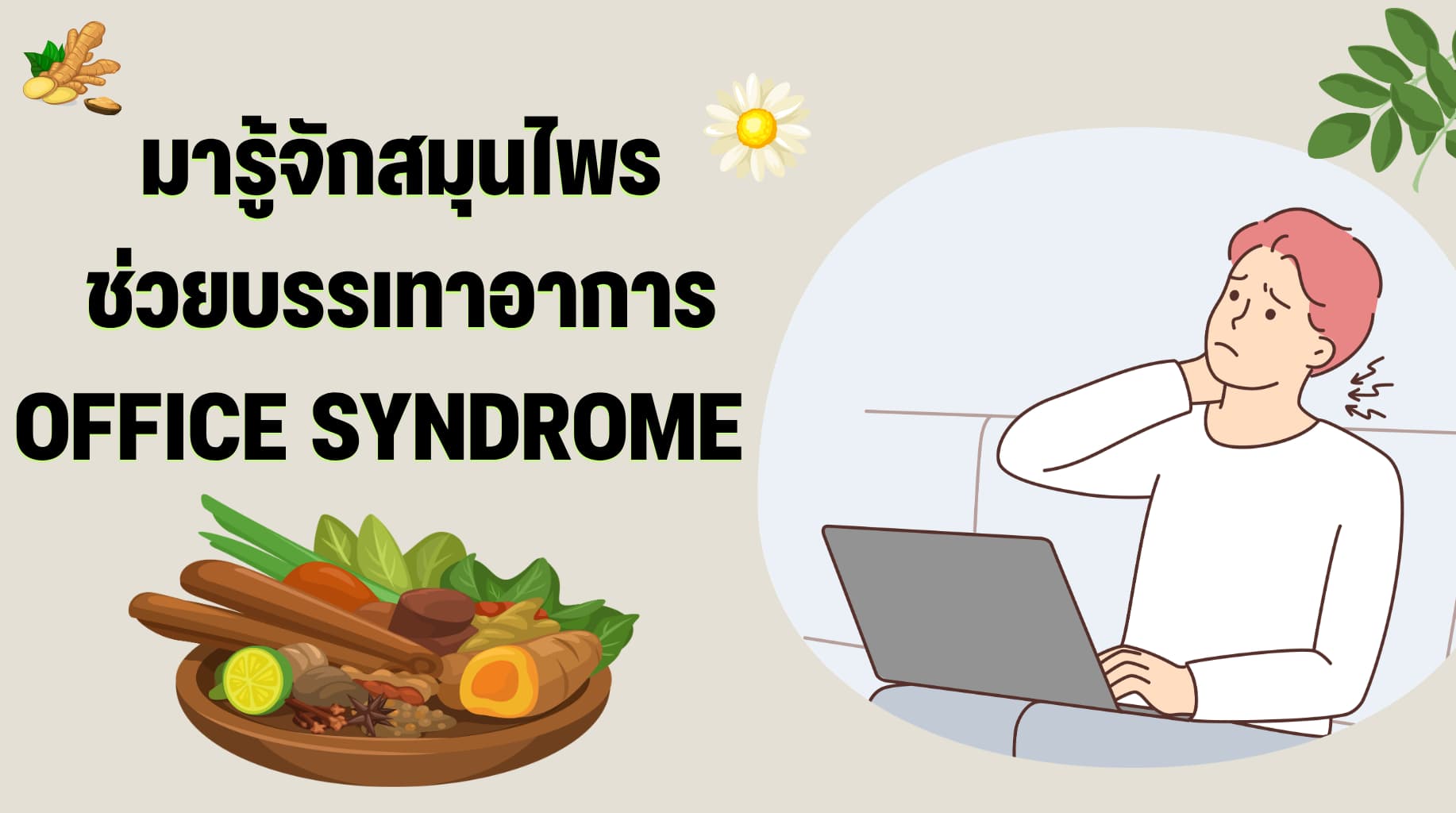 สมุนไพรที่ช่วยบรรเทา Office Syndrome โรคยอดฮิตของชาวออฟฟิศ